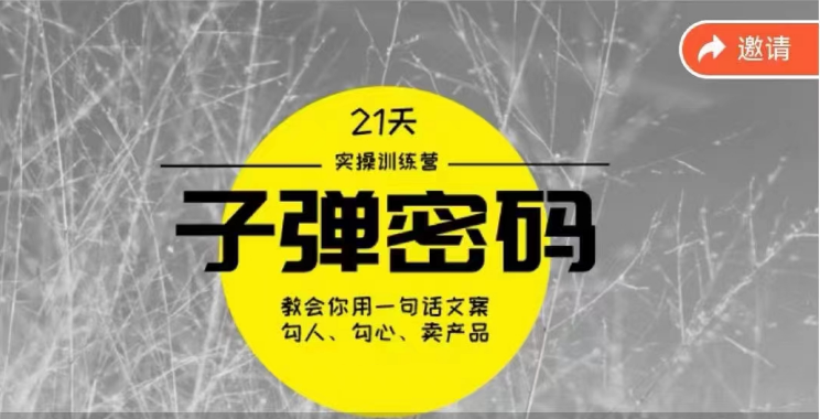 《子弹密码训练营》用一句话文案勾人勾心卖产品，21天学到顶尖文案大师策略和技巧-搞钱花