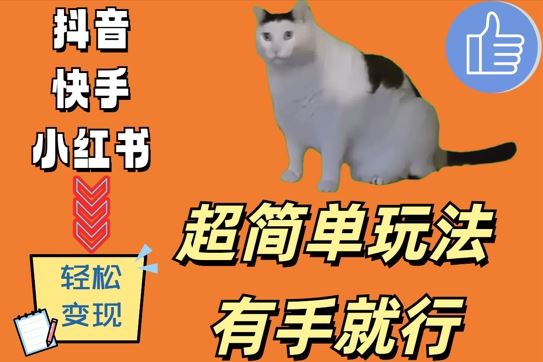 超简单玩法,有手就行,靠猫咪视频日入500+【揭秘】-搞钱花