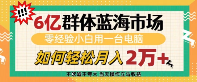 6亿群体蓝海市场，零经验小白用一台电脑，如何轻松月入过w【揭秘】-搞钱花