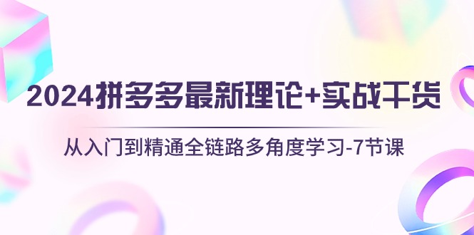 （10816期）2024拼多多 最新理论+实战干货，从入门到精通全链路多角度学习-7节课-搞钱花