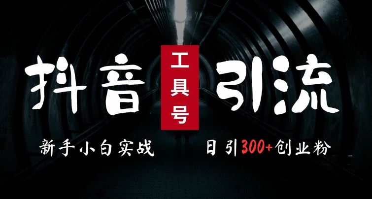 2024最新抖音工具号引流玩法，高效日引300+创业粉，当天变现5k，小白也可成为实战高手-搞钱花
