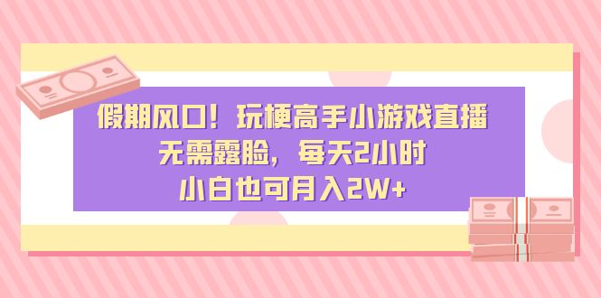 假期风口!玩梗高手小游戏直播,无需露脸,每天2小时,小白也可月入2W+-搞钱花