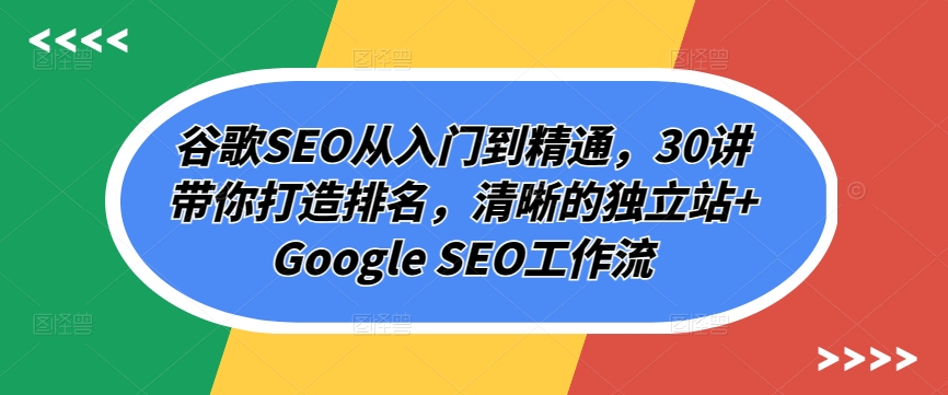 谷歌SEO从入门到精通，30讲带你打造排名，清晰的独立站+Google SEO工作流-搞钱花