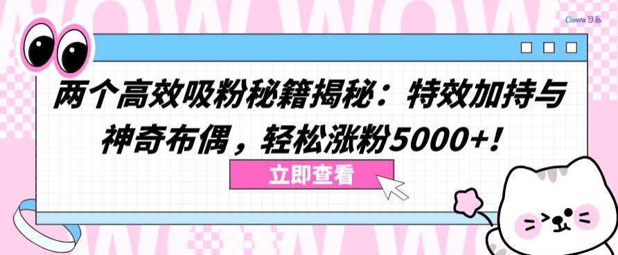 两个高效吸粉秘籍揭秘:特效加持与神奇布偶,轻松涨粉5000+-搞钱花