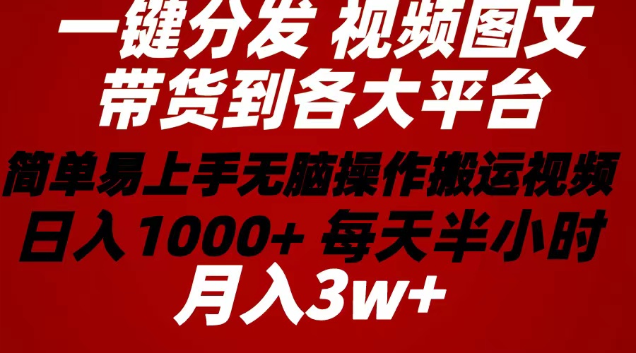 （10667期）2024年 一键分发带货图文视频  简单易上手 无脑赚收益 每天半小时日入1…-搞钱花