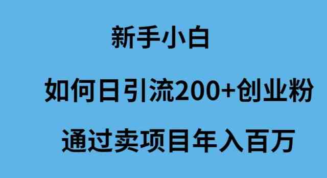 （9668期）新手小白如何日引流200+创业粉通过卖项目年入百万-搞钱花
