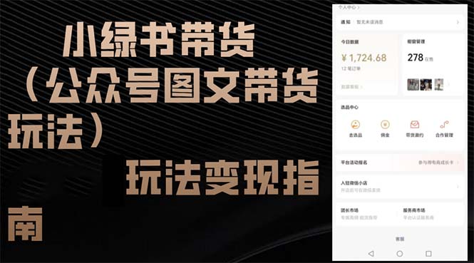 （12902期）小绿书带货（公众号图文带货玩法）玩法变现指南-搞钱花