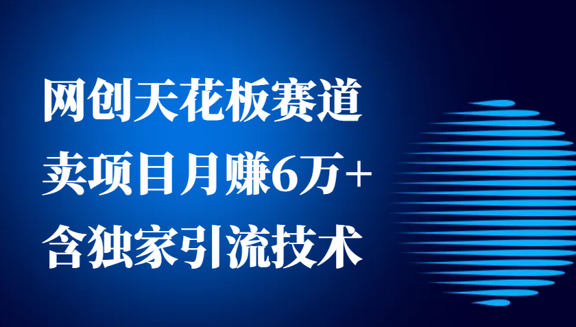 网创天花板赛道，卖项目月赚6万+，含独家引流技术(共26节课)-搞钱花