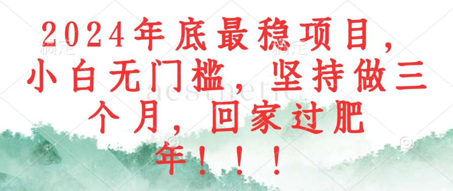 （12970期）2024年底最稳项目，小白无门槛，坚持做三个月，回家过肥年！！！-搞钱花