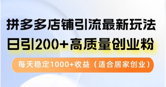 （12893期）拼多多店铺引流最新玩法，日引200+高质量创业粉，每天稳定1000+收益（…-搞钱花