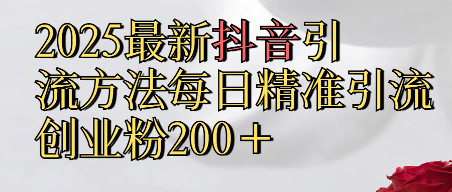 2025最新,抖音引流,方法每日精准引流创业粉300＋-搞钱花