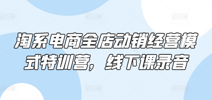 淘系电商全店动销经营模式特训营，线下课录音-搞钱花