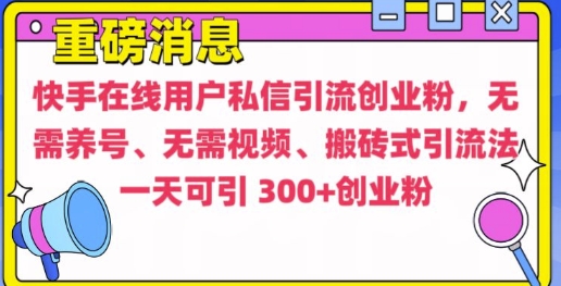 快手最新引流创业粉方法，无需养号、无需视频、搬砖式引流法【揭秘】-搞钱花