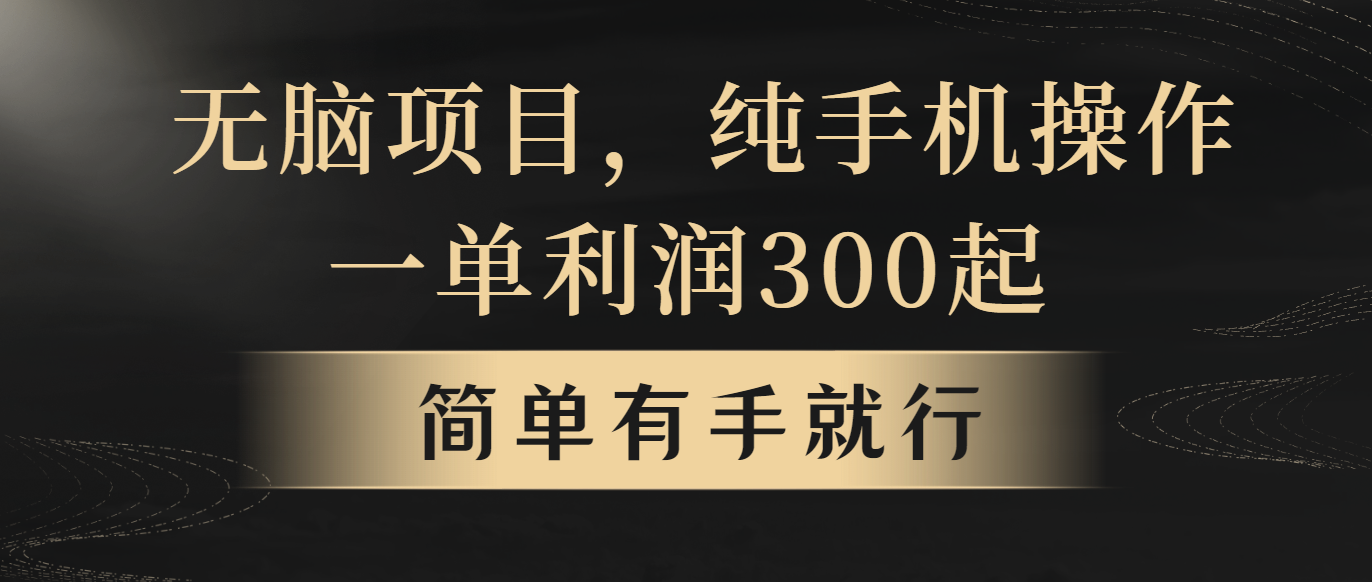 （10699期）无脑项目，一单几百块，轻松月入5w+，看完就能直接操作-搞钱花