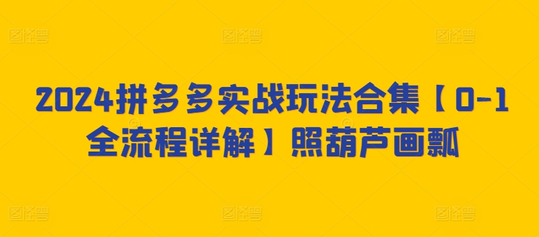 2024拼多多实战玩法合集【0-1全流程详解】照葫芦画瓢-搞钱花