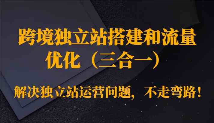 跨境独立站搭建和流量优化（三合一）解决独立站运营问题，不走弯路！-搞钱花