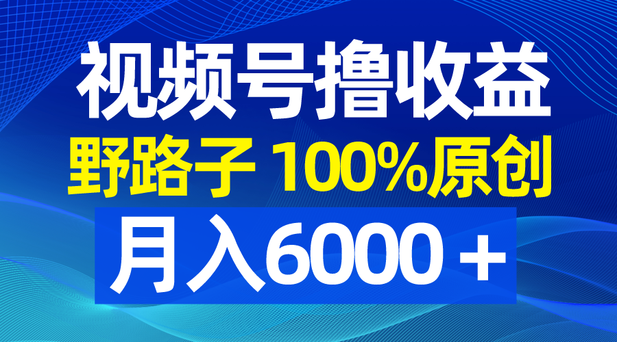视频号野路子撸收益,100%原创,条条爆款,月入6000+-搞钱花