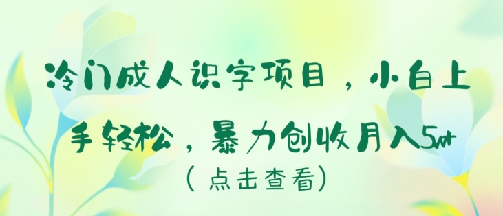 冷门成人识字项目,小白上手轻松,暴力创收月入5w+-搞钱花
