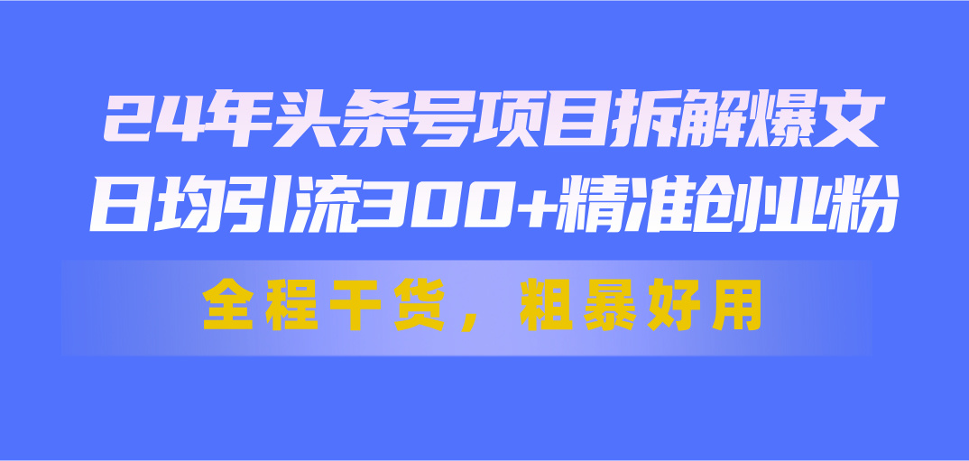 24年头条号项目拆解爆文，日均引流300+精准创业粉，全程干货，粗暴好用-搞钱花