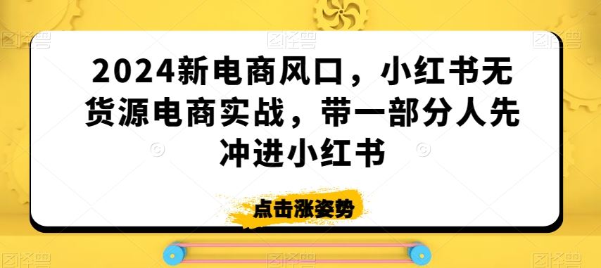 2024新电商风口，小红书无货源电商实战，带一部分人先冲进小红书-搞钱花