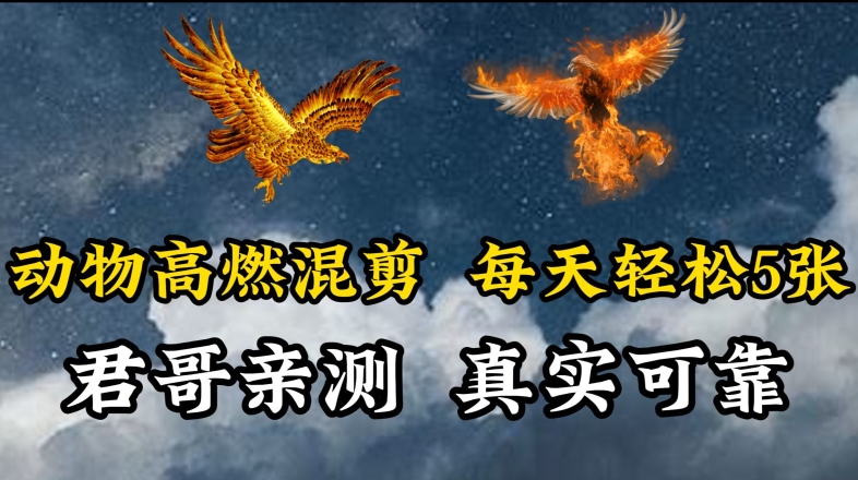 动物超燃混剪，每天轻松5张，剪辑简单大家爱看-搞钱花