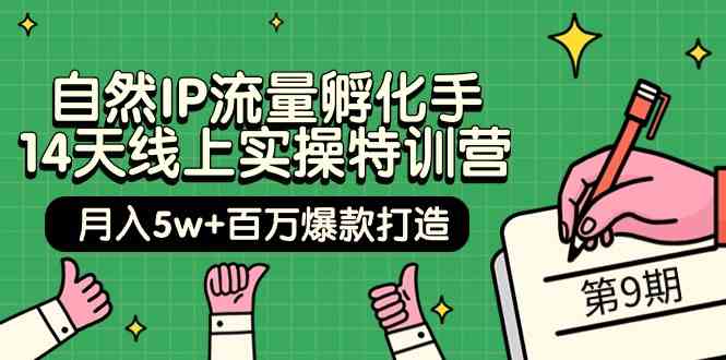 自然IP流量孵化手14天线上实操特训营【第9期】月入5w+百万爆款打造 (74节)-搞钱花