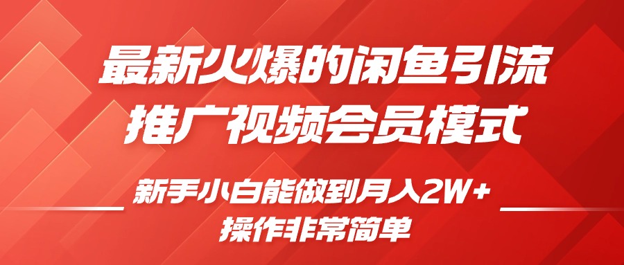 最新火爆的闲鱼引流推广视频会员，新手小白能做到月入2W+-搞钱花