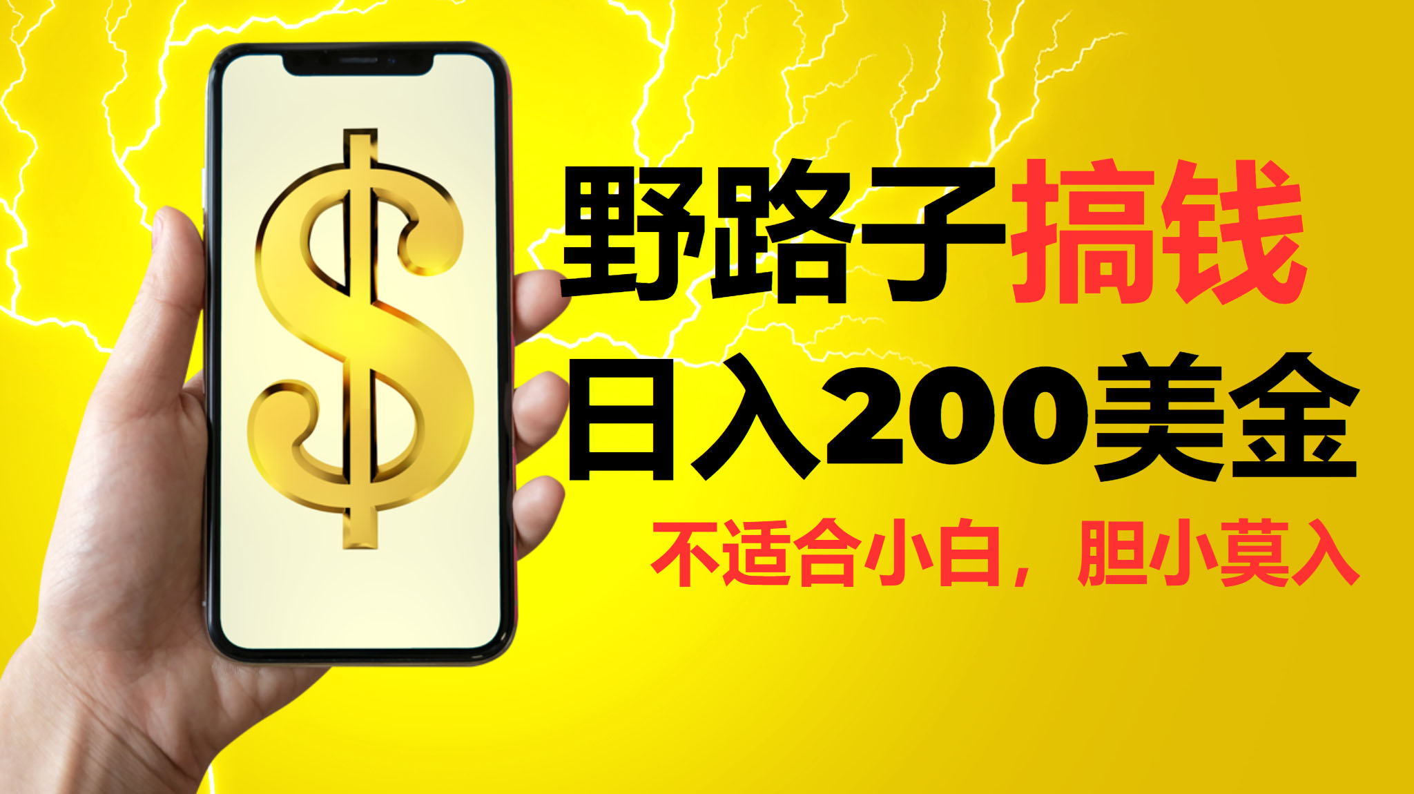 挂机野路子搞钱，日入200美金，路子很野，小白莫入-搞钱花
