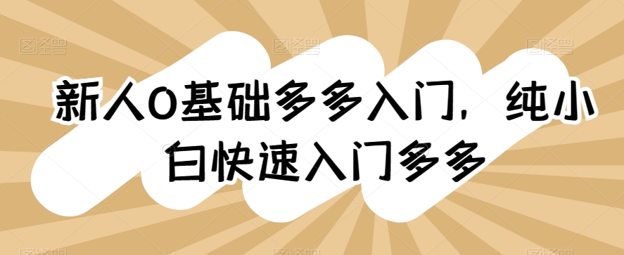 新人0基础多多入门，​纯小白快速入门多多-搞钱花