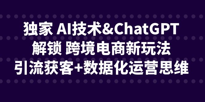 独家 AI技术&ChatGPT解锁 跨境电商新玩法，引流获客+数据化运营思维-搞钱花