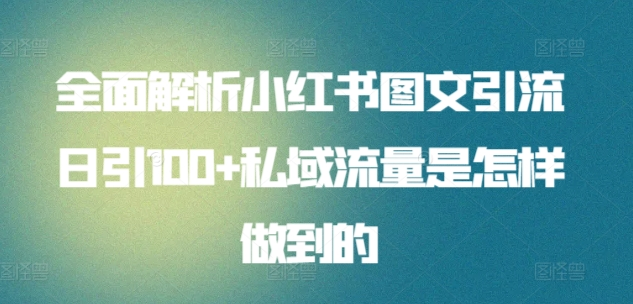 暴力引流 小红书图文引流日引100私域全面拆解【打粉人必看】-搞钱花