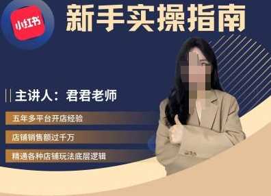 君君-小红书电商从入门到精通，新手实操指南-搞钱花