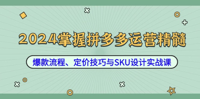 2024掌握拼多多运营精髓：爆款流程、定价技巧与SKU设计实战课-搞钱花