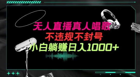 抖音24小时无人直播音乐，不违规，不封号纯撸音浪，小白实操当天日入1000+-搞钱花