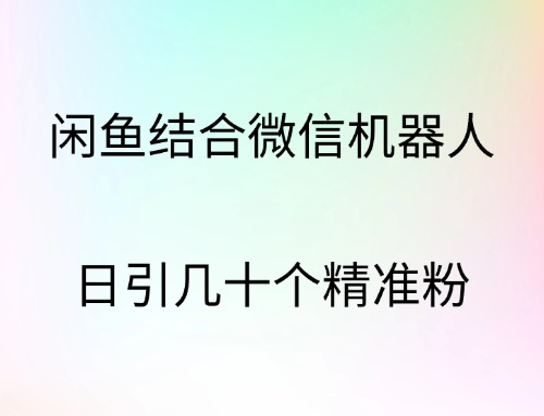 闲鱼结合微信机器人，日引几十个精准粉-搞钱花
