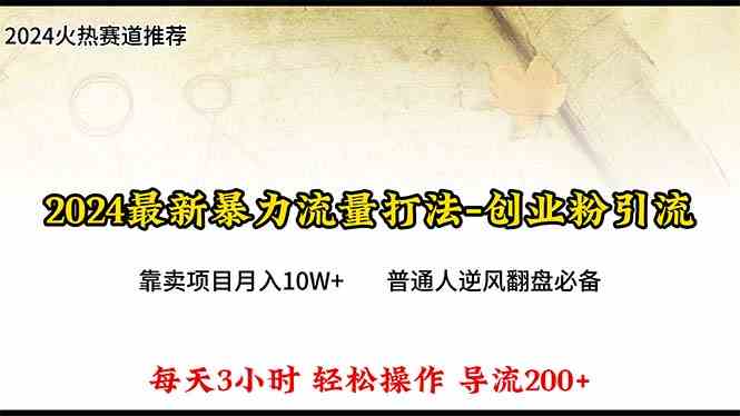 （10151期）2024年最新暴力流量打法，每日导入300+，靠卖项目月入10W+-搞钱花