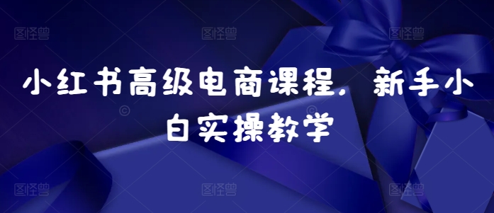 小红书高级电商课程，新手小白实操教学-搞钱花