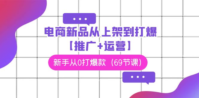电商新品从上架到打爆【推广+运营】，新手从0打爆款（69节课）-搞钱花