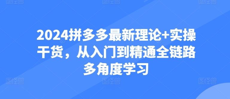 2024拼多多最新理论+实操干货，从入门到精通全链路多角度学习-搞钱花