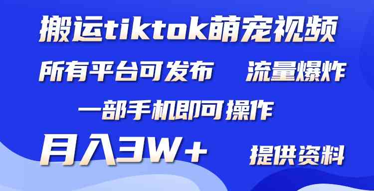 （9618期）搬运Tiktok萌宠类视频，一部手机即可。所有短视频平台均可操作，月入3W+-搞钱花