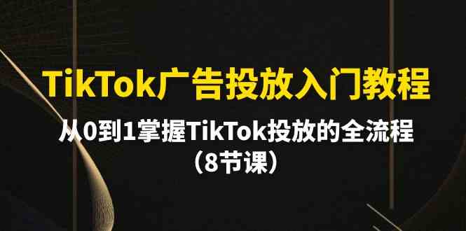 （10085期）TikTok广告投放入门教程，从0到1掌握TikTok投放的全流程（8节课）-搞钱花