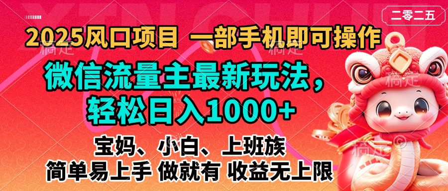2025蓝海风口项目，微信流量主最新玩法，轻松日入1000+，简单易上手，做就有 收益无上限-搞钱花