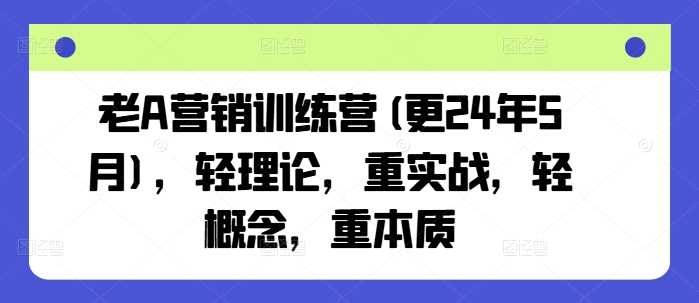 老A营销训练营(更24年10月)，轻理论，重实战，轻概念，重本质-搞钱花