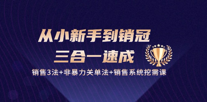 （10799期）从小新手到销冠 三合一速成：销售3法+非暴力关单法+销售系统挖需课 (27节)-搞钱花