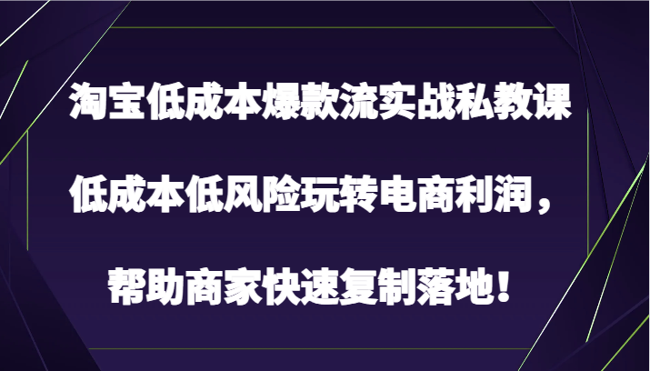 淘宝低成本爆款流实战私教课，低成本低风险玩转电商利润，帮助商家快速复制落地！-搞钱花