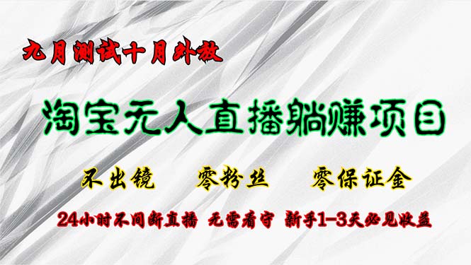 (12862期)淘宝无人直播最新玩法,九月测试十月外放,不出镜零粉丝零保证金,24小…-搞钱花
