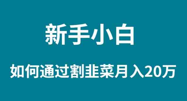 （9308期）新手小白如何通过割韭菜月入 20W-搞钱花