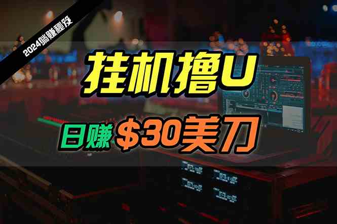 (10013期)日赚30美刀,2024最新海外挂机撸U内部项目,全程无人值守,可批量放大-搞钱花