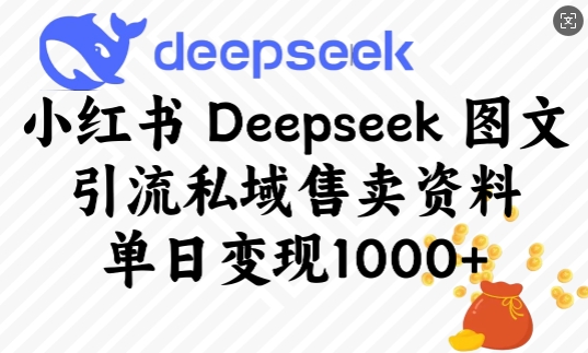小红书Deepseek图文引流私域售卖资料，单日变现多张-搞钱花