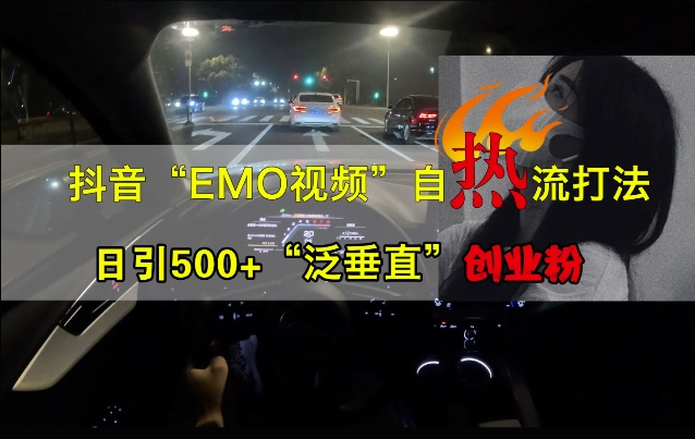 抖音EMO视频自热打法，日引500+“泛垂直”创业粉-搞钱花
